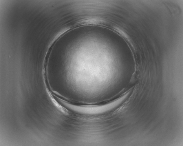 X0000071921042200607212103