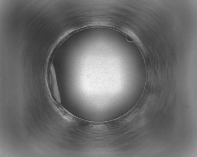 X0000071921043200607212103