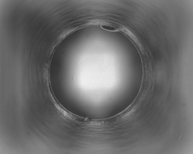X0000071921049200607212103