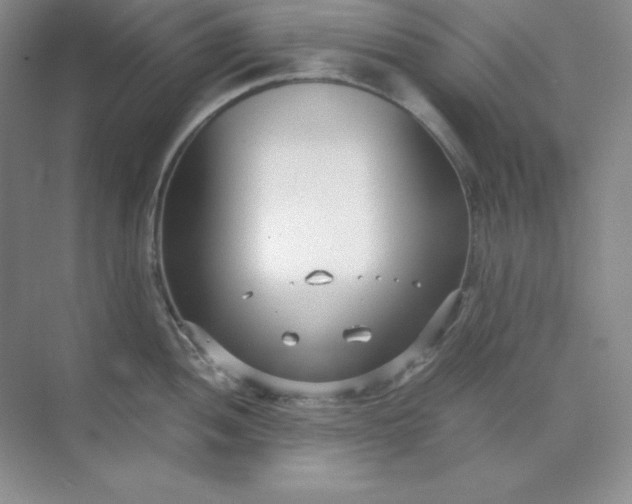 X0000071921052200607212103