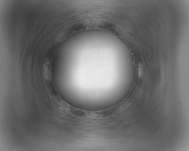 X0000071921059200607212102
