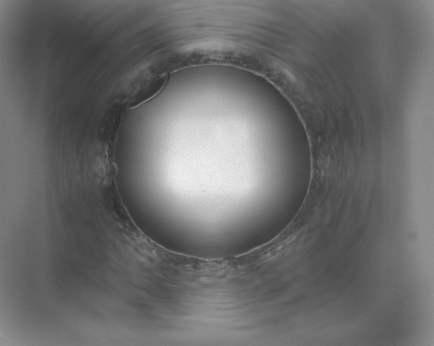 X0000071921062200607212102