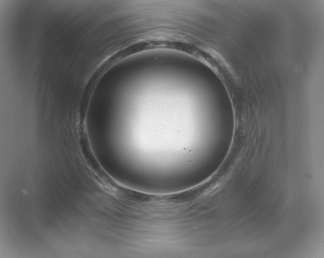 X0000071921065200607212102