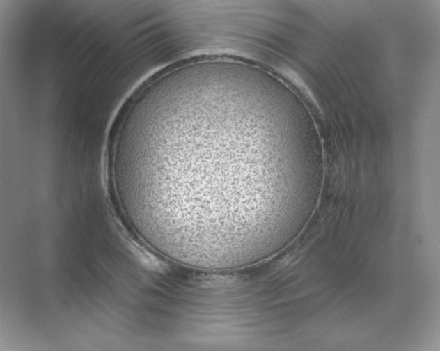 X0000071921076200607212102