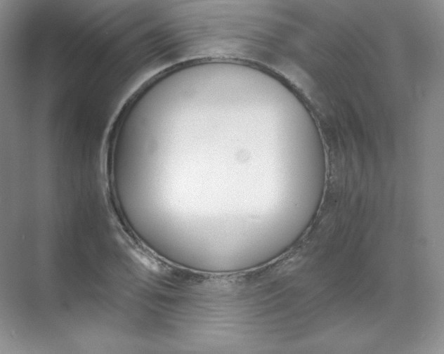 X0000071921078200607212102