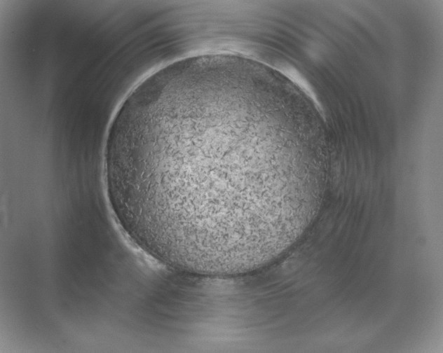 X0000071921088200607212102