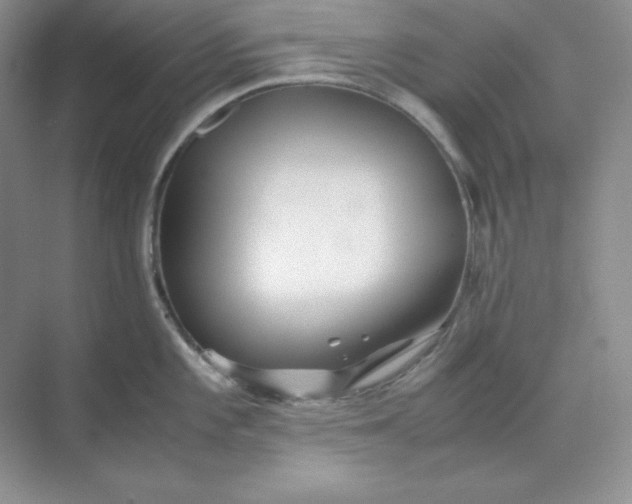 X0000071921101200607212101