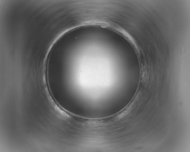X0000071921102200607212101
