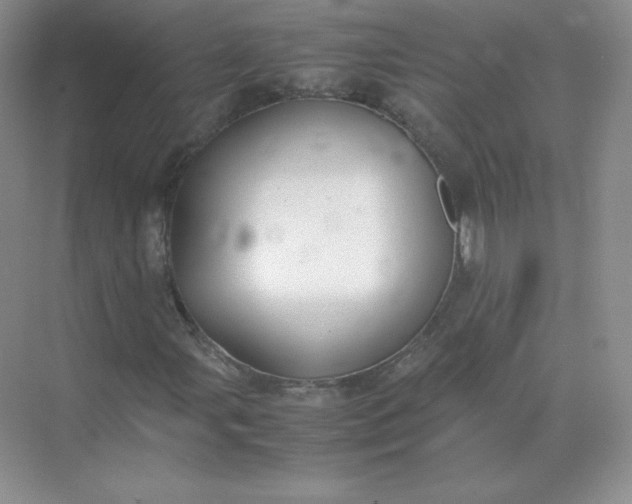 X0000071921107200607212101