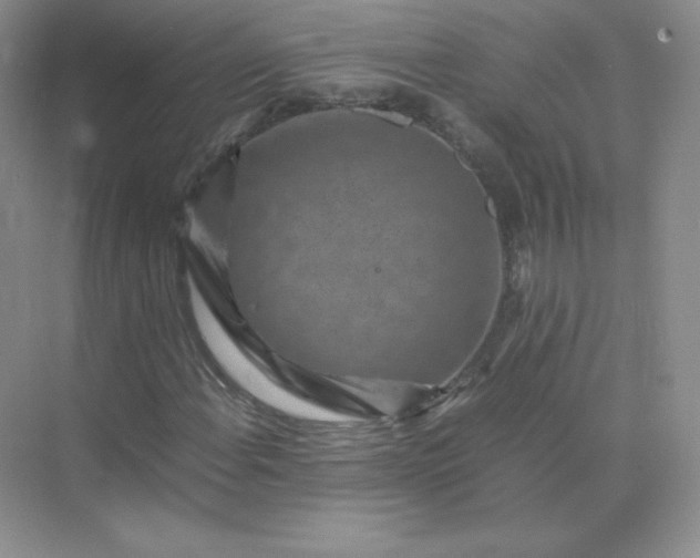 X0000071921108200607212101