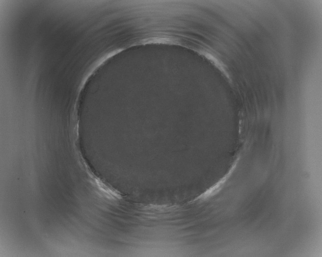 X0000071921117200607212101