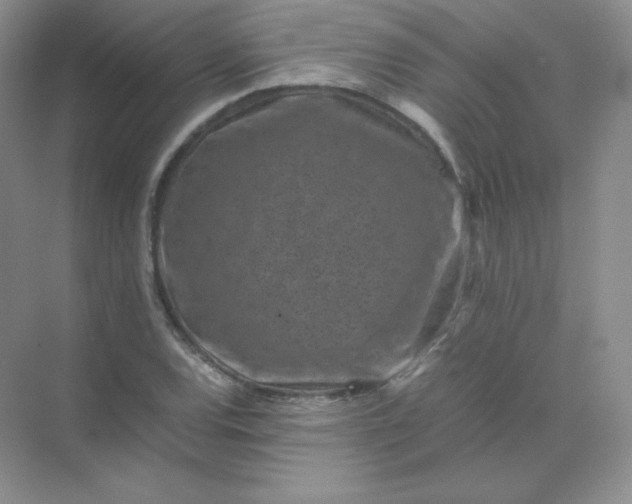 X0000071921120200607212101