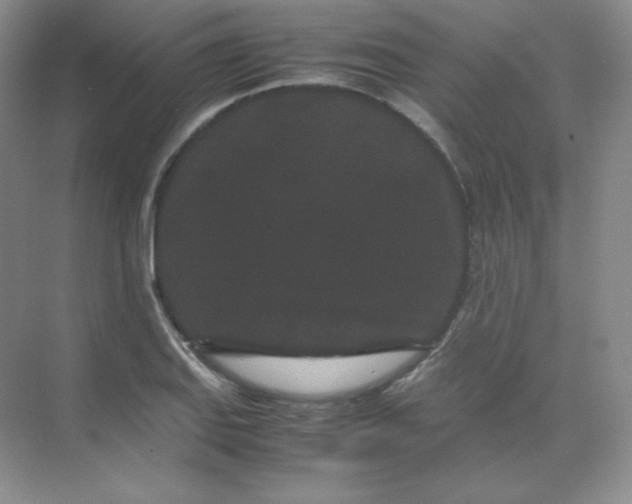 X0000071921127200607212101