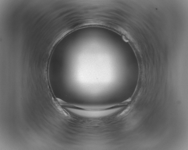 X0000071921137200607212101