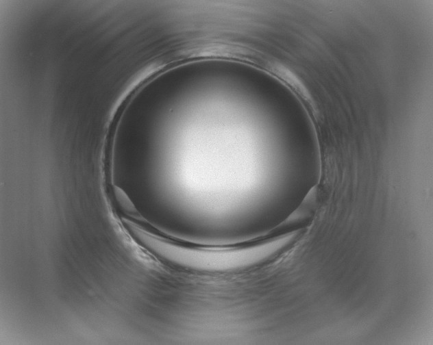 X0000071921138200607212101