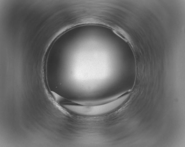 X0000071921142200607212101