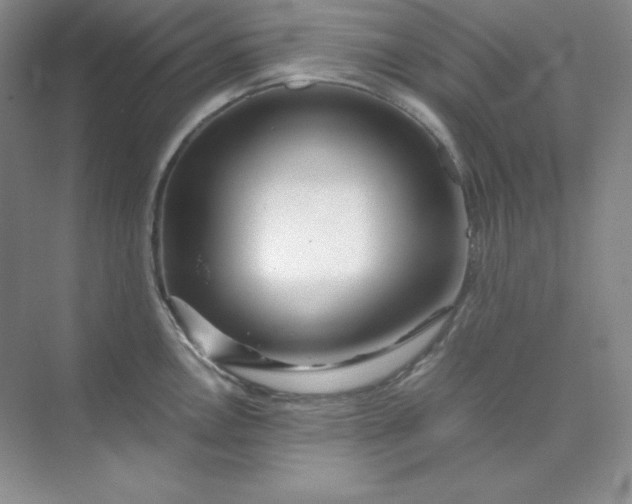 X0000071921146200607212101