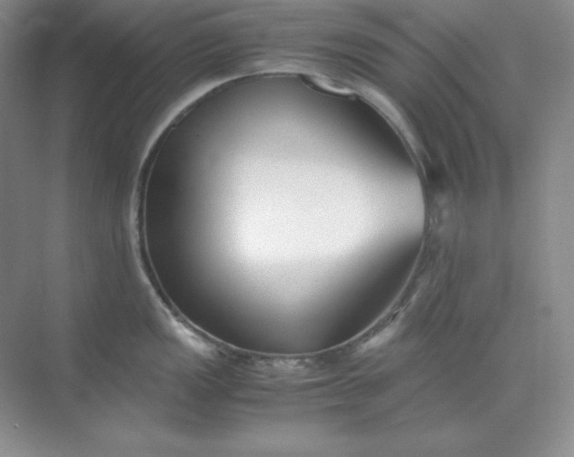 X0000071921149200607212101