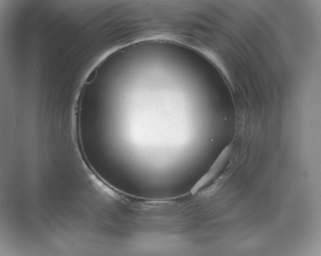 X0000071921151200607212101