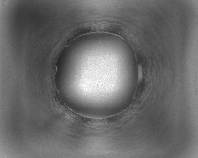 X0000071921153200607212101
