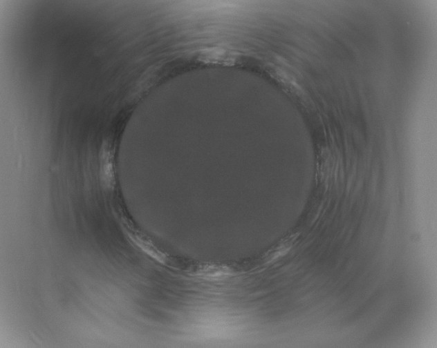 X0000071921154200607212101