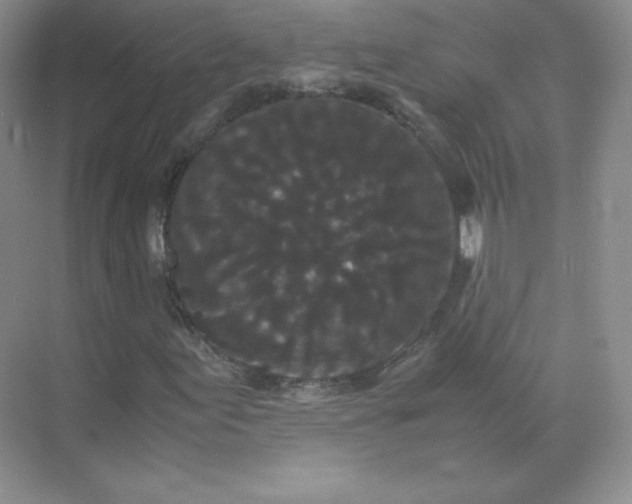 X0000071921155200607212101