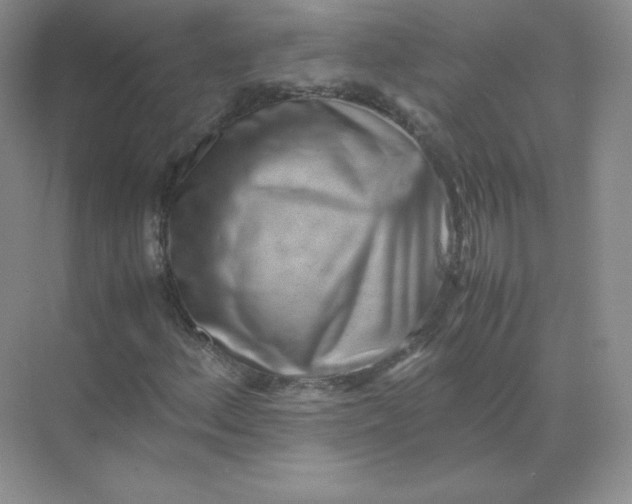 X0000071921156200607212101