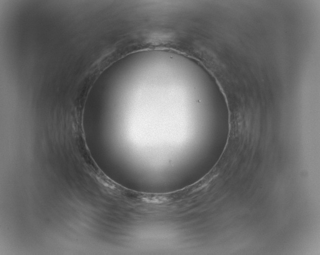X0000071921158200607212101