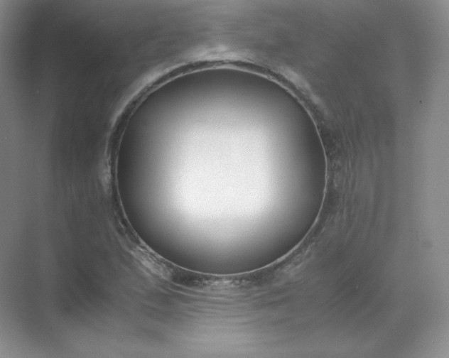 X0000071921167200607212100