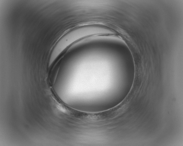 X0000071921177200607212100