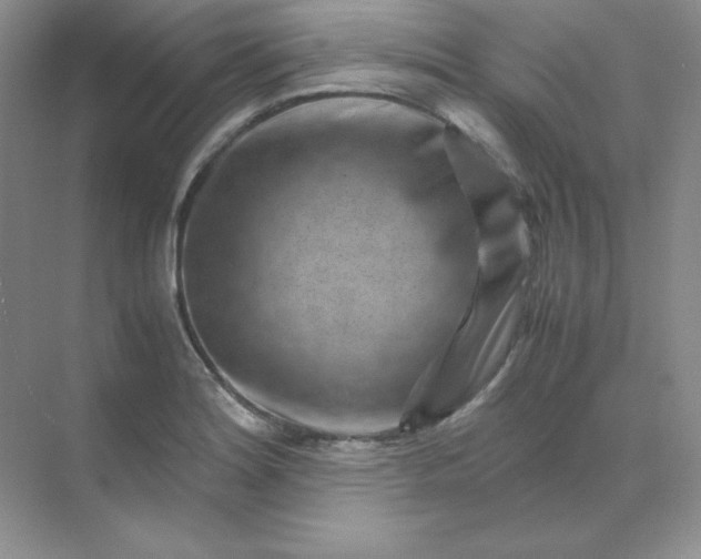 X0000071921180200607212100