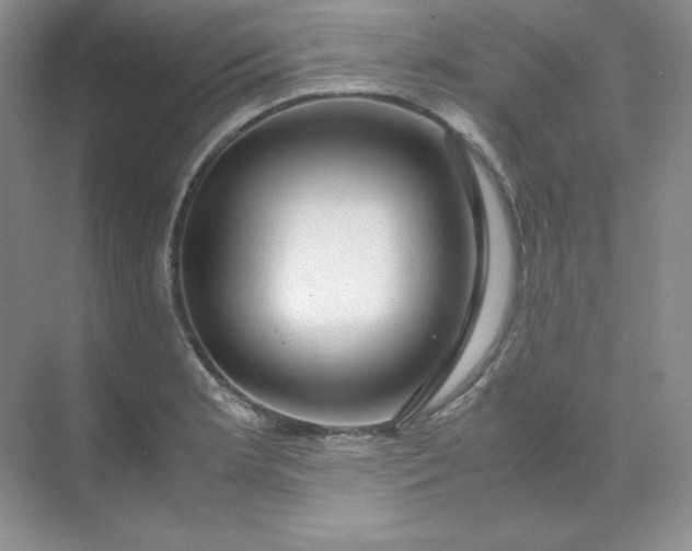 X0000071921181200607212100