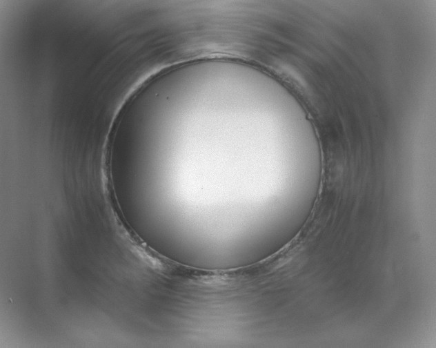 X0000071921182200607212100