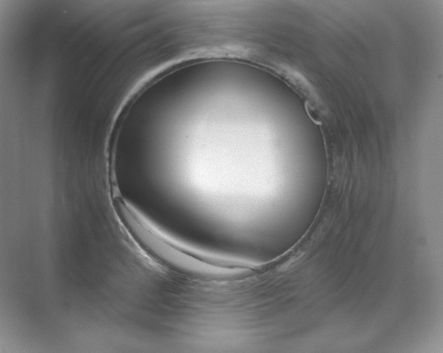 X0000071921184200607212100