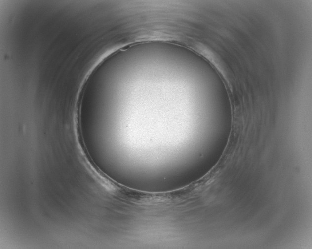 X0000071921187200607212100
