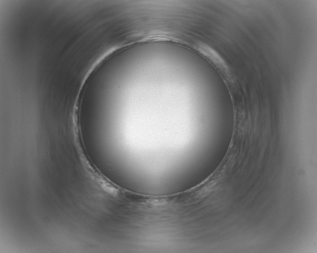 X0000071921190200607212100