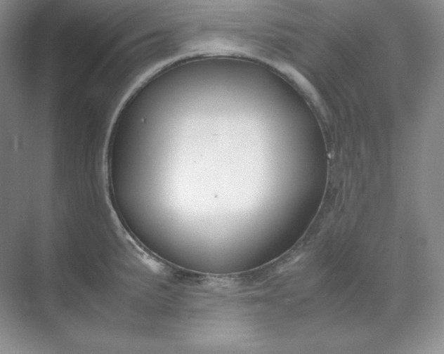X0000071921191200607212100