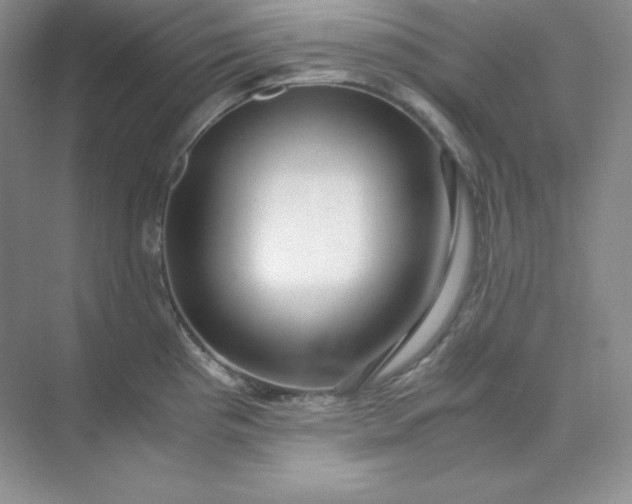 X0000071921193200607212100