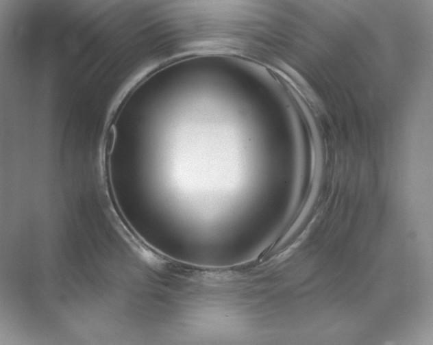 X0000071921196200607212100