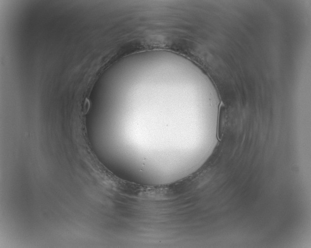 X0000071921201200607212059