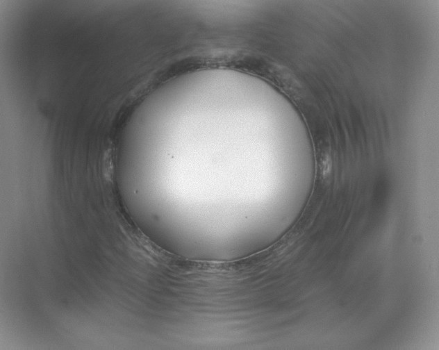 X0000071921204200607212059