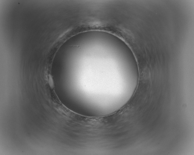 X0000071921205200607212059