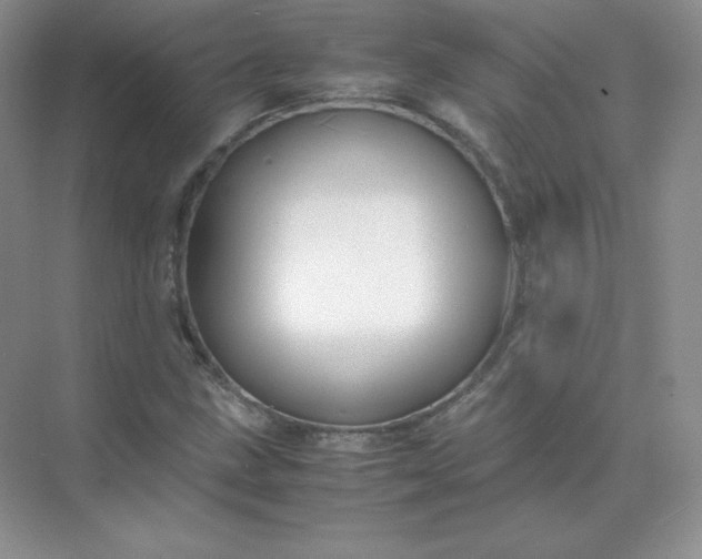 X0000071921211200607212059