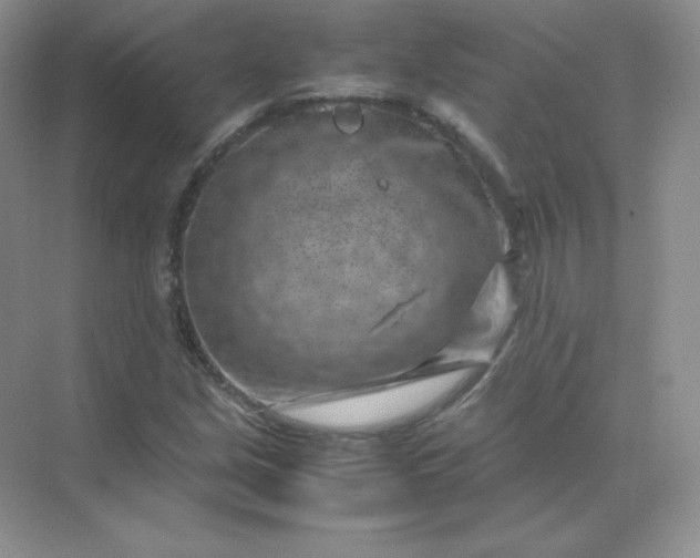 X0000071921213200607212059