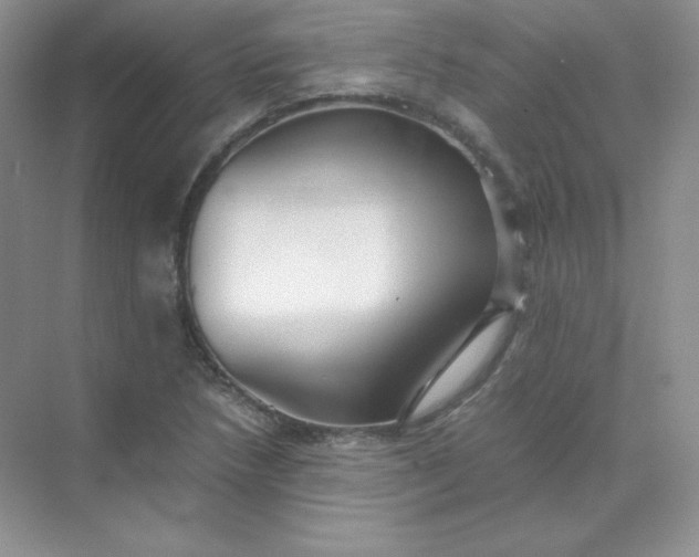 X0000071921218200607212059