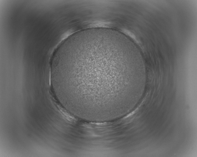X0000071921219200607212059