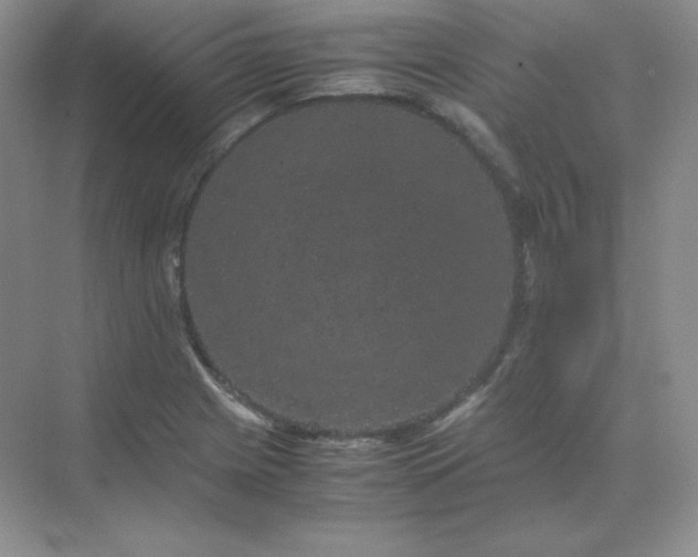 X0000071921225200607212059