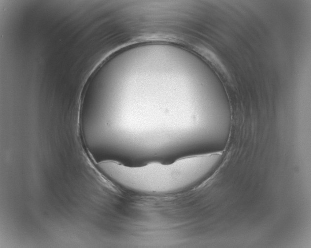 X0000071921228200607212059