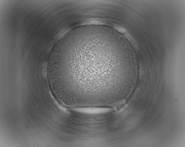 X0000071921233200607212100