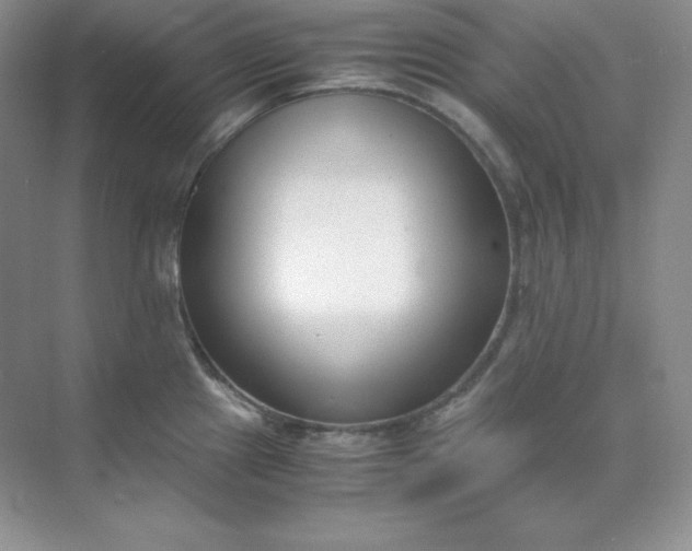 X0000071921241200607212100